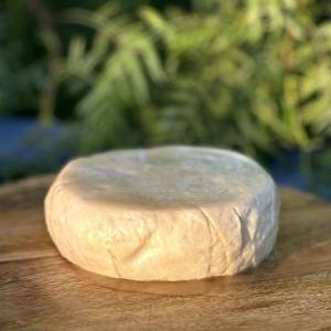 2) Queso madurado de cabra en aceite3